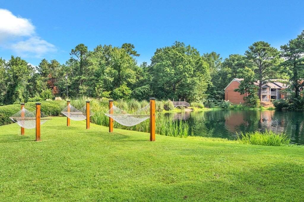 a hammock on the grass near a body of water